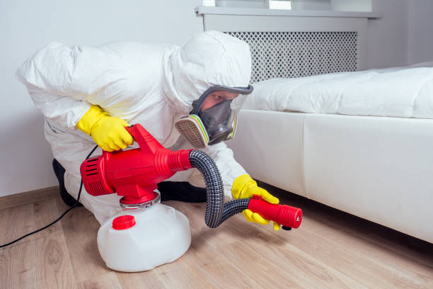 Best Bed Bug Extermination  in Kimberly, WI